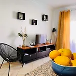 Seashell Oura Daire